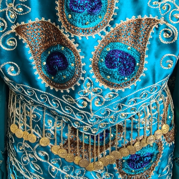 4 Peice Gypsy Bellydance Peacock Costume NWOT - Picture 13 of 16